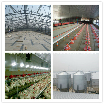 Set completo Automatic Breeder Control Shed Equipment